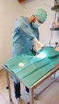 Chirurgie